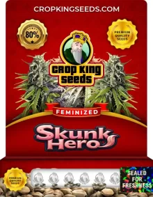 Skunk Hero Feminized