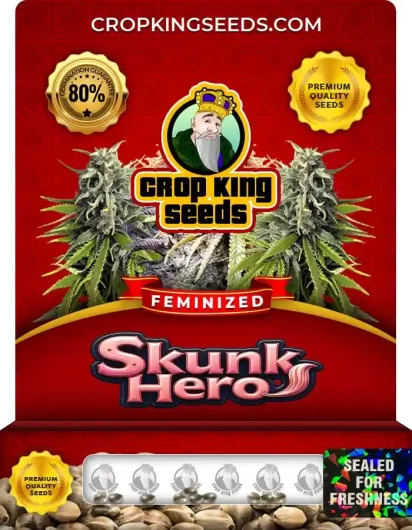 Skunk Hero Feminized