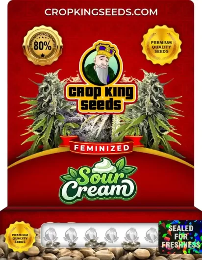 Sour Cream Feminized