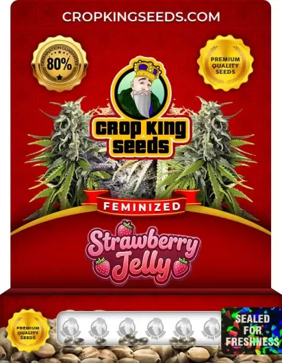Strawberry Jelly Feminized