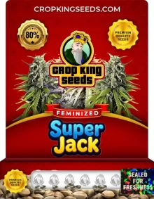 Super Jack Feminized