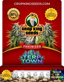 Terp Town Feminized