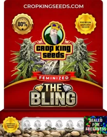 The Bling Feminized