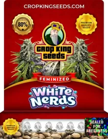 White Nerds Feminized