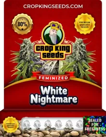 White Nightmare Feminized
