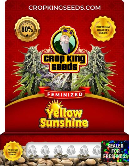 Yellow Sunshine Feminized