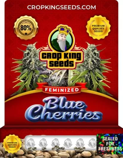 Blue Cherries Strain