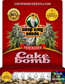 Cake Bomb Strain