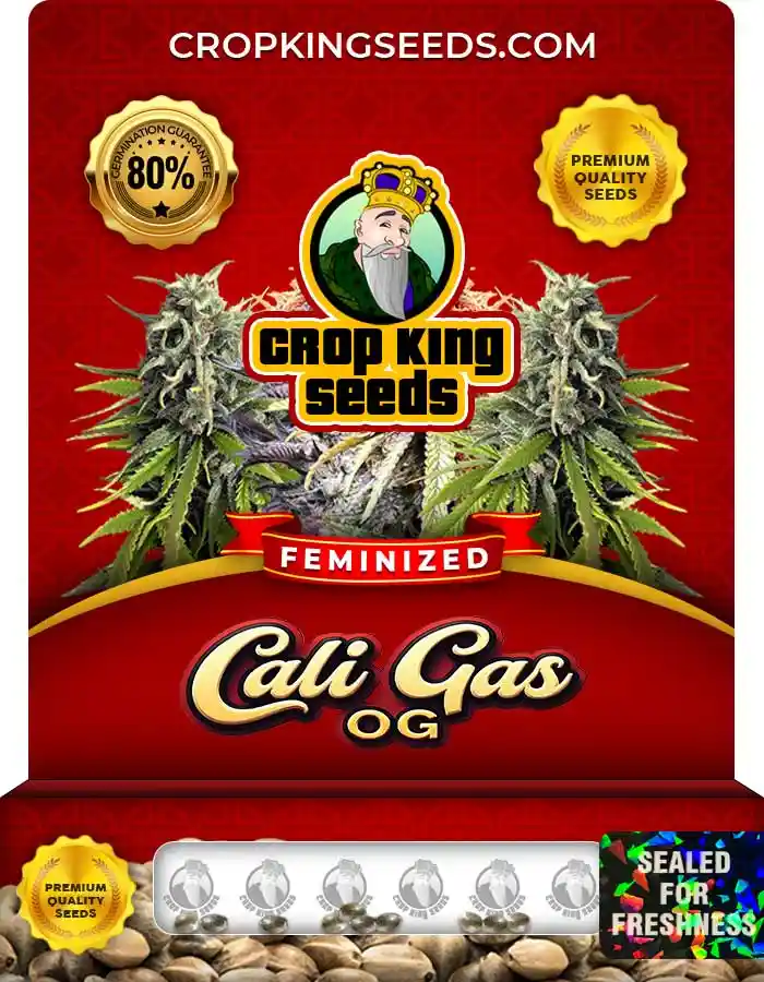 Buy Cali Gas OG Strain Feminized Marijuana Seeds Crop King Seeds buy-cali-gas-og-strain-feminized-marijuana-seeds-crop-king-seeds