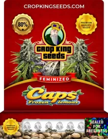 Caps Frozen Lemons Strain