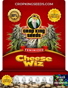 Cheese Wiz Strain