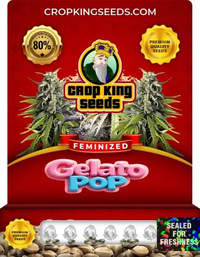 Gelato Pop Strain