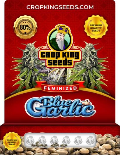 Blue Garlic Strain Feminized