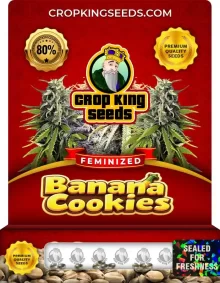 Banana Cookies Strain