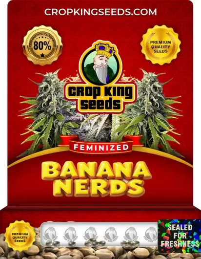 Banana Nerds Strain