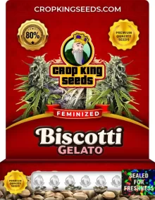 Biscotti Gelato Strain