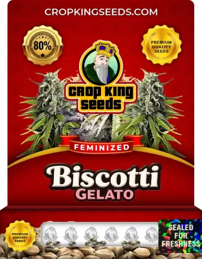 Biscotti Gelato Strain