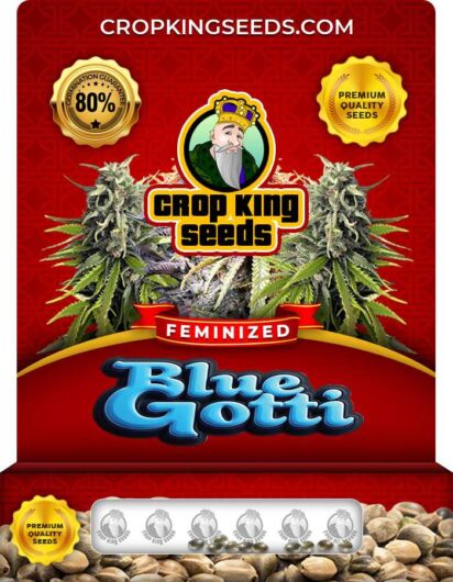 Blue Gotti Strain