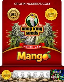 Mango Strain