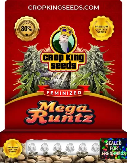 Mega Runtz Strain