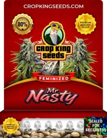 Mr. Nasty Strain