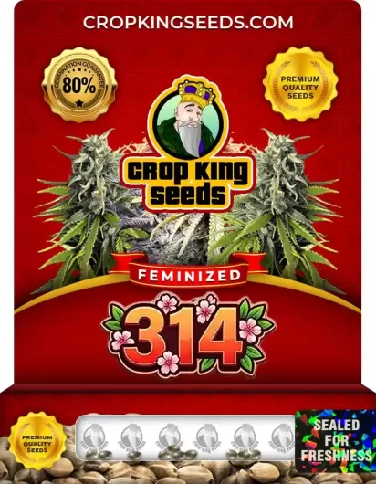 314 Feminized