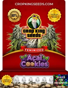 Acai Cookies Feminized
