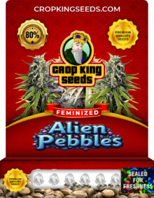 Alien Pebbles Strain Feminized