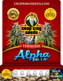 Alpha Blue Strain Feminized