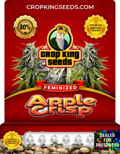 Apple Crisp Strain Feminized