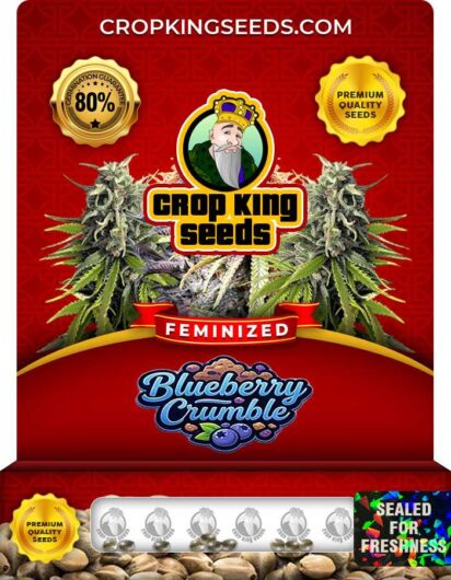 Blueberry Crumble Feminized