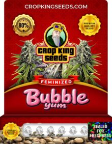 Bubble Yum Strain