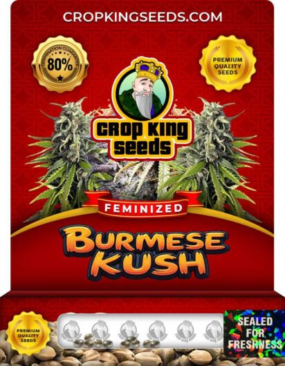 Burmese Kush