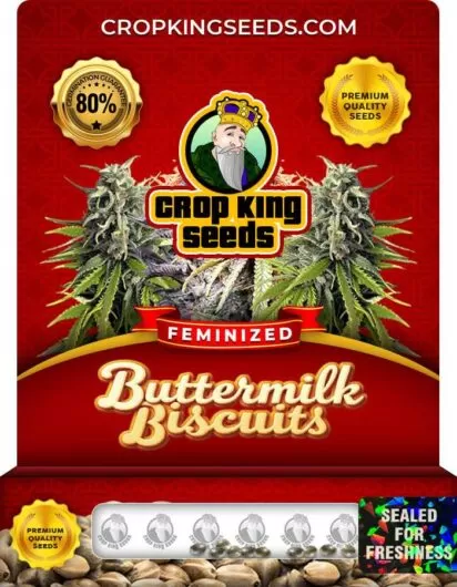 Buttermilk Biscuits Strain