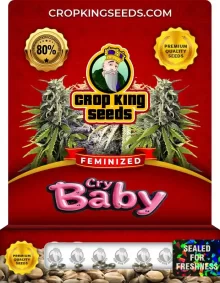 Cry Baby Feminized