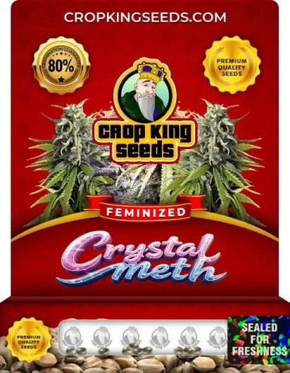 Crystal Meth Feminized