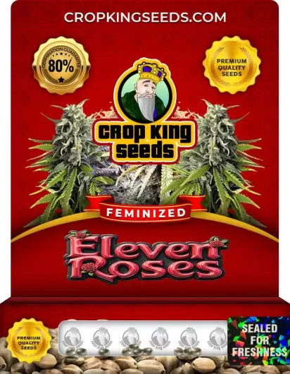Eleven Roses Feminized