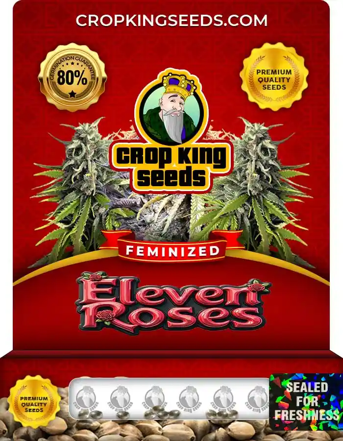 Buy Eleven Roses Strain Feminized Marijuana Seeds | Crop King Seeds