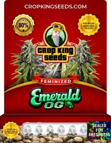 Emerald OG Feminized