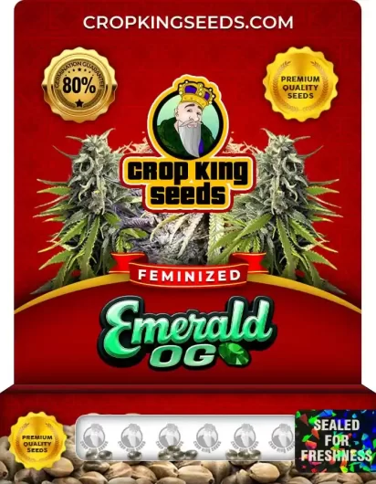 Emerald OG Feminized