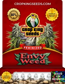 Envy Weed Feminized