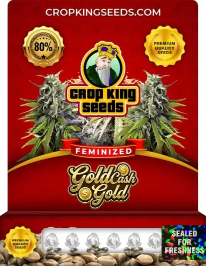 Gold Cash Gold Feminized