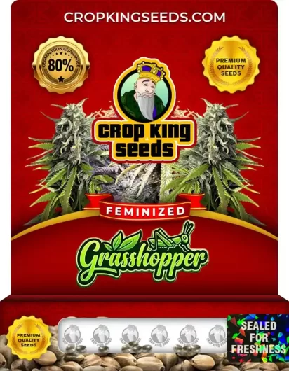 Grasshopper Feminized