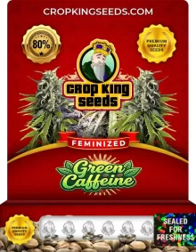 Green Caffeine Feminized
