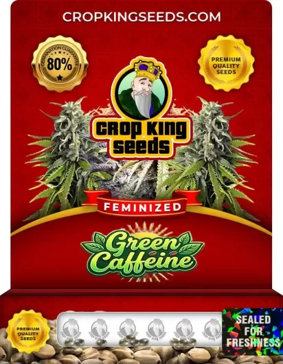 Green Caffeine Feminized