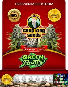 Green Runtz Feminized