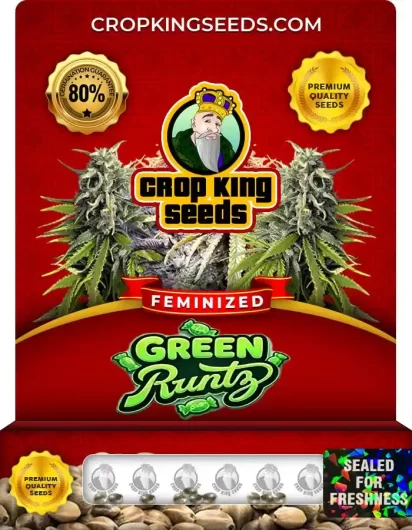 Green Runtz Feminized