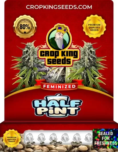 Half Pint Feminized