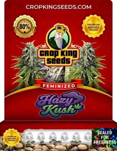 Hazy Kush Feminized