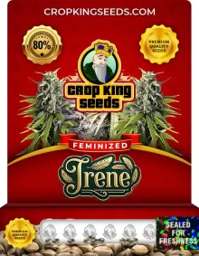 Irene Feminized